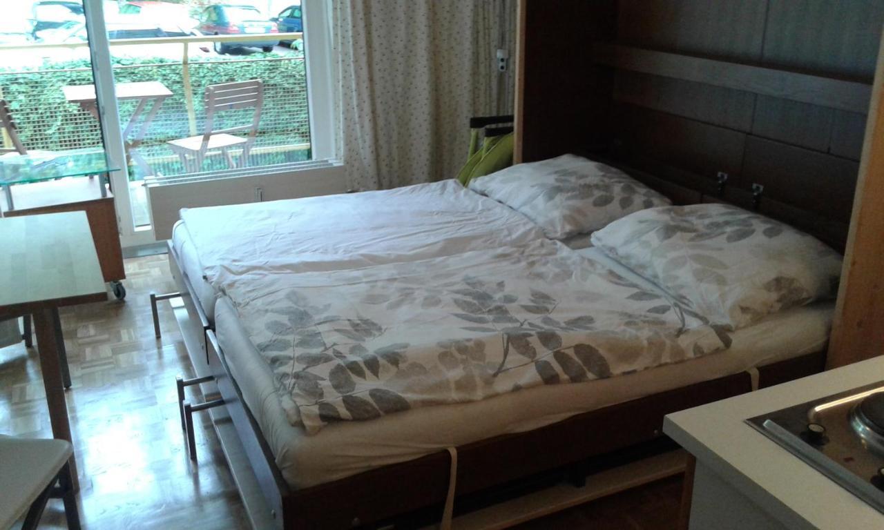 格蒙登Vintage Garconiere Mit Balkon - 25 M2公寓 外观 照片